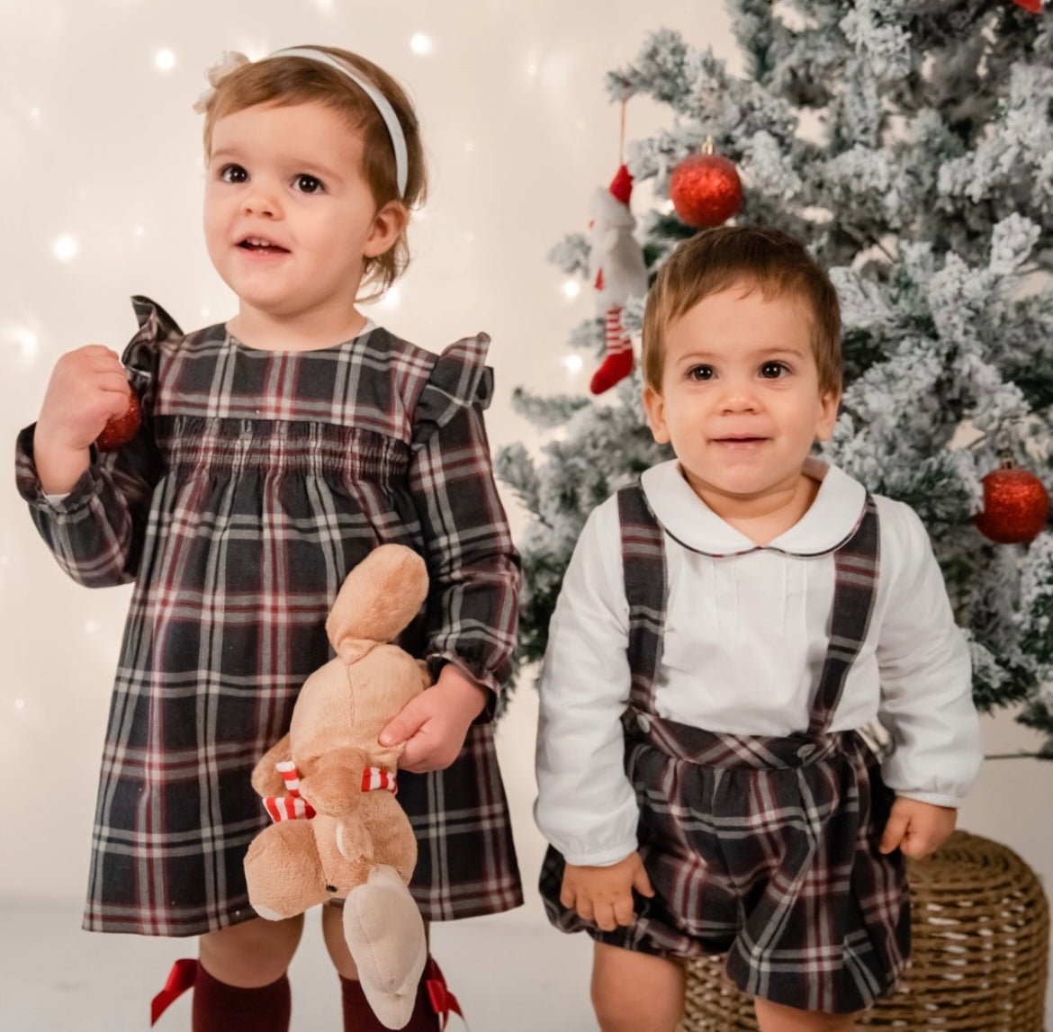 Long sleeve plaid dress